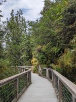 219. Mendelhall Gletscher, Juneau, Alaska.jpg