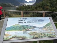 220. Mendelhall Gletscher, Juneau, Alaska.jpg