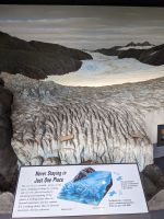 222. Mendelhall Gletscher, Juneau, Alaska.jpg