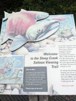 224. Mendelhall Gletscher, Juneau, Alaska.jpg