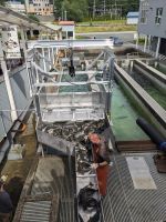 231. Macaulay Salmon Hatchery, Juneau, Alaska.jpg