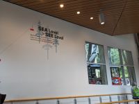 240. Gondelfahrt Mt. Roberts, Juneau, Alaska.jpg