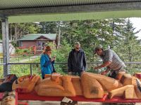 244. Gondelfahrt Mt. Roberts, Juneau, Alaska.jpg