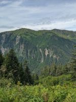 247. Gondelfahrt Mt. Roberts, Juneau, Alaska.jpg