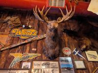 256. Red Dog Saloon, Juneau, Alaska.jpg