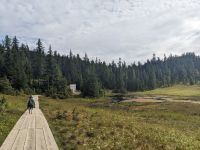 315. Gondelauffahrt Icy Strait Point, Alaska.jpg