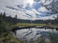 316. Gondelauffahrt Icy Strait Point, Alaska.jpg