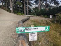 319. Spaziergang in die Ortschaft von Icy Strait Point vom Wilderness Dock.jpg