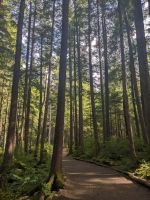 321. Spaziergang in die Ortschaft von Icy Strait Point vom Wilderness Dock.jpg