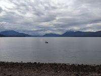 335. Buckelwale - Spaziergang von Icy Strait Point nach Hoonah, Alaska.jpg