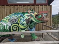 372. Alaska Wildlife Conservation Center, Alaska.jpg