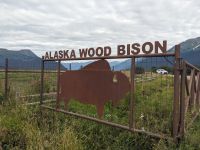 375. Alaska Wildlife Conservation Center, Alaska.jpg