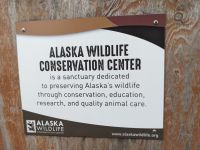 386. Alaska Wildlife Conservation Center, Alaska.jpg