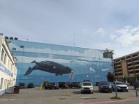 395. Innenstadt von Anchorage, Alaska.jpg