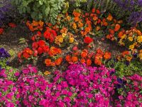 399. Innenstadt von Anchorage, Alaska.jpg