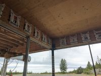 405. Huskyzucht von Martin Buser, Alaska.jpg