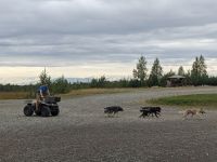 407. Huskyzucht von Martin Buser, Alaska.jpg