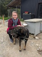 409. Huskyzucht von Martin Buser, Alaska.jpg