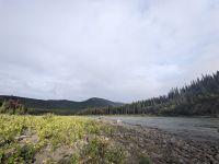 425. Morgenspaziergang entlang des Oxbow Loops, Denali Nationalpark.jpg