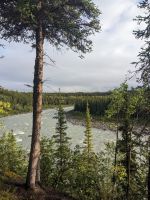 426. Morgenspaziergang entlang des Oxbow Loops, Denali Nationalpark, Alaska.jpg