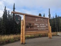427. Morgenspaziergang entlang des Oxbow Loops, Denali Nationalpark, Alaska.jpg