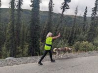 430. Ausflug in den Denali Nationalpark, Alaska.jpg