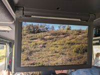 438. Ausflug in den Denali Nationalpark, Alaska.jpg