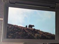 449. Ausflug in den Denali Nationalpark, Alaska.jpg