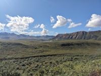 452. Ausflug in den Denali Nationalpark, Alaska.jpg