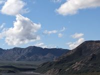 453. Ausflug in den Denali Nationalpark, Alaska.jpg