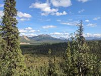 456. Rockcreek Trail Denali Nationalpark, Alaska.jpg