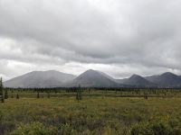 473. Alaska Express, Panoramazugfahrt von Denali vis Anchorage, Alaska.jpg