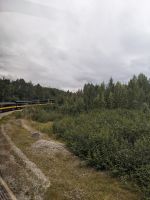 476. Alaska Express, Panoramazugfahrt von Denali vis Anchorage, Alaska.jpg