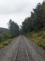 477. Alaska Express, Panoramazugfahrt von Denali vis Anchorage, Alaska.jpg