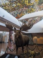 526. Flughafen Anchorage, Rückflug nach Deutschland.jpg