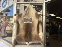 Alaska - Ketchikan 