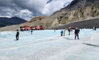 Athabasca Gletscher