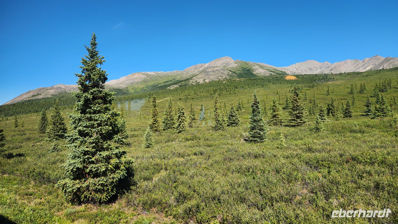 Denali Nationalpark