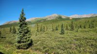 Denali Nationalpark