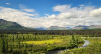 Denali Nationalpark