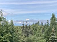 Denali