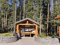 Johnston Canyon (3)