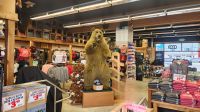 Ketchikan - typischer Souvenirshop