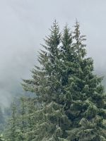 Ketchikan