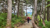 Mount Roberts -  kleine Wanderung