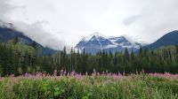 Mount Roberts