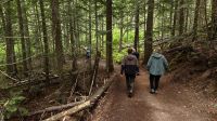 Wells Gray Provincial Park