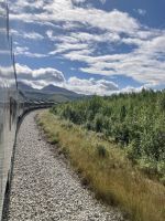Wilderness Express