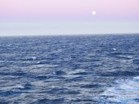 das Meer Alaska