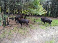 13. Omega Wildlife Park (1)
